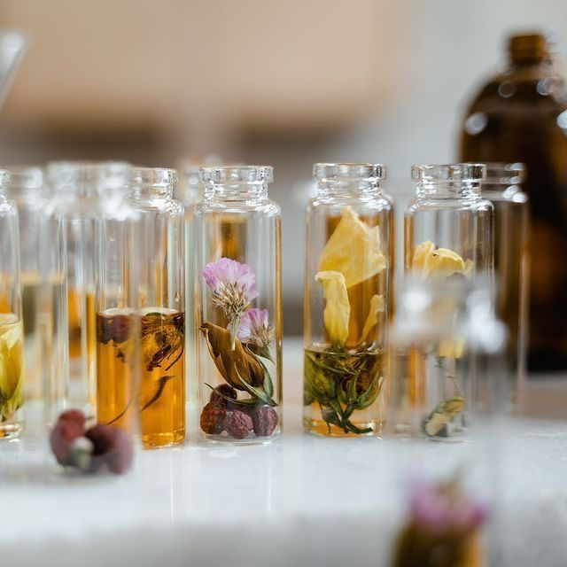 Our Fragrances
